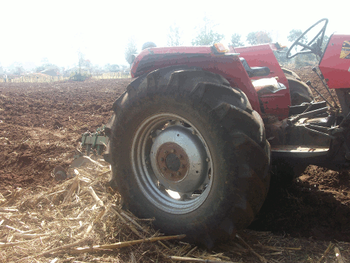 farming